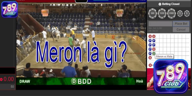 Kê thủ nên chọn cửa cược Meron hay Wala?
